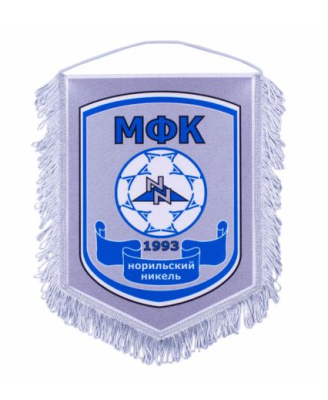 Вымпел мягкий печатный с бахромой, 30х40 см