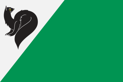 Флаг Мегиона 90х135 см